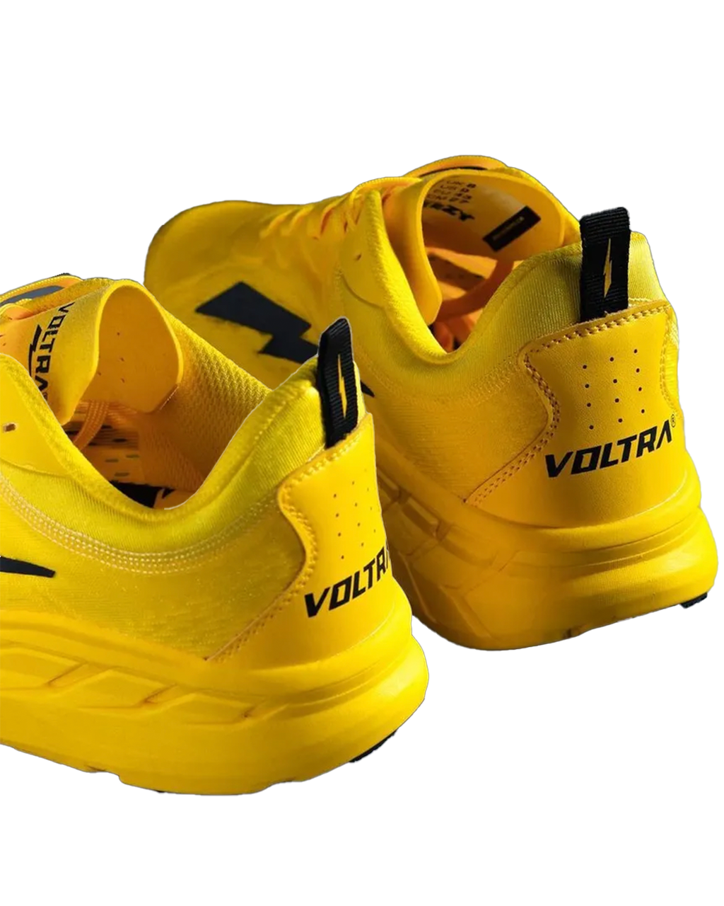 Voltra Eezy
